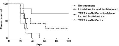 Improved Antitumor Activity of a Therapeutic Melanoma Vaccine through the Use of the Dual COX-2/5-LO Inhibitor Licofelone